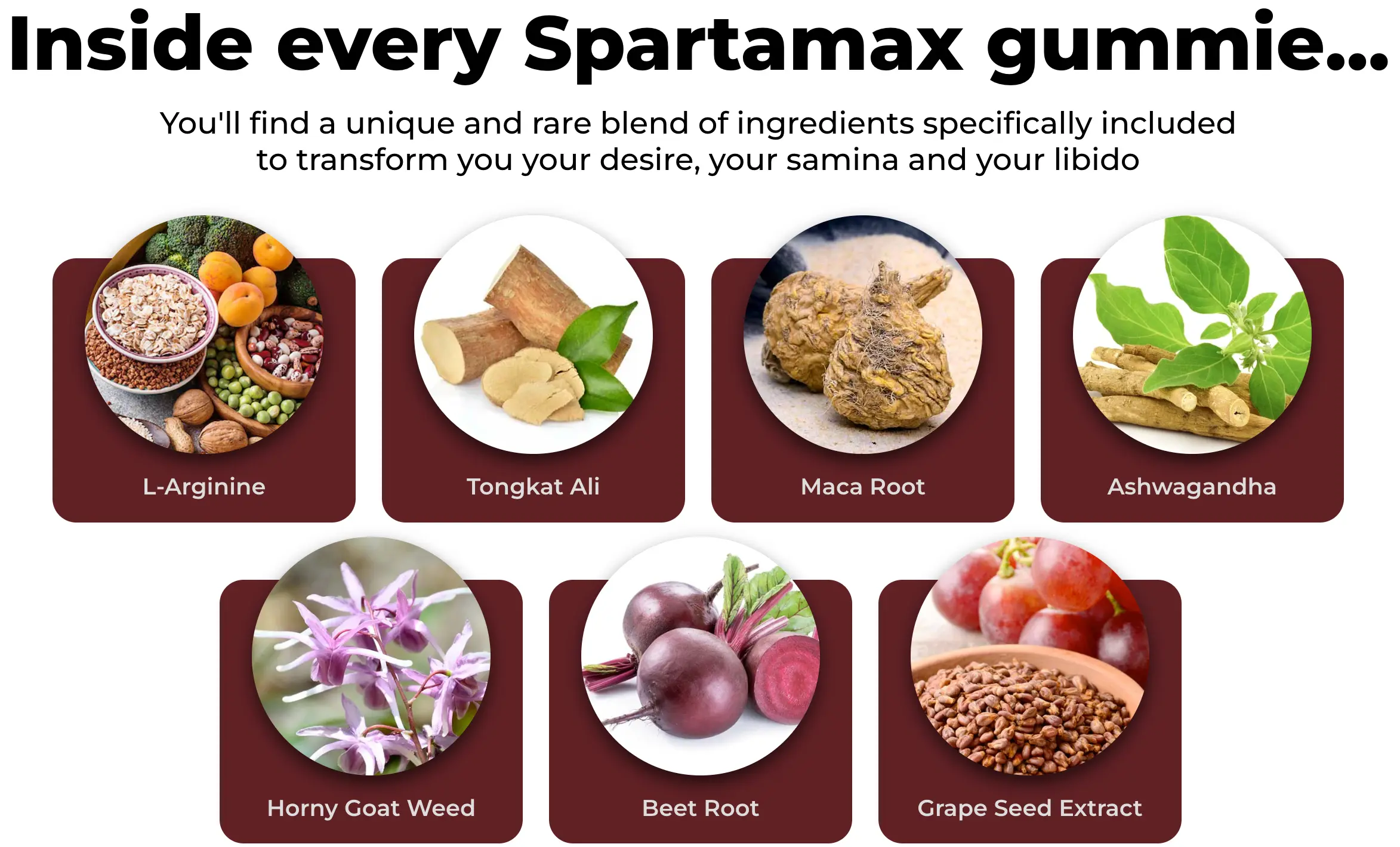 Ingredients-In-Spartamax
