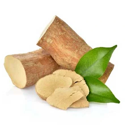 Tongkat Ali ingredient illustration