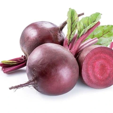 Beet Root ingredient illustration