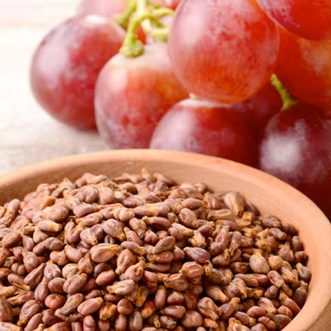 Grape Seed Extract ingredient illustration